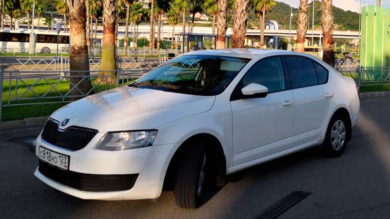 Аренда Skoda Octavia в Сочи. Вид с одной стороны.